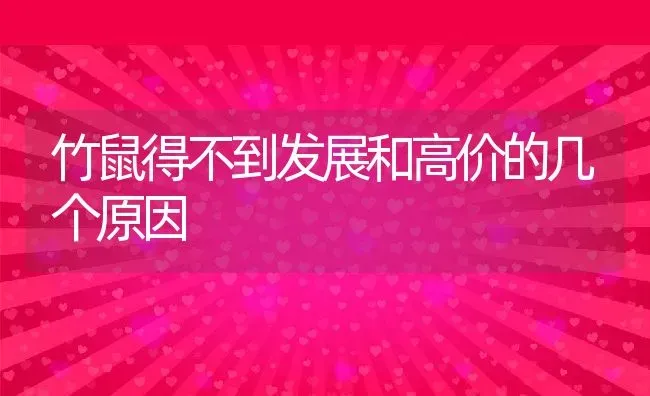 竹鼠得不到发展和高价的几个原因 | 动物养殖百科