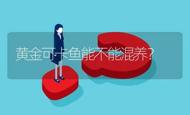 黄金可卡鱼能不能混养？ | 动物养殖问答