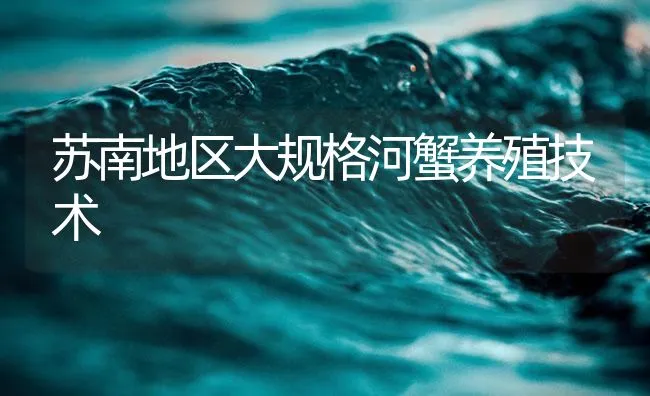 苏南地区大规格河蟹养殖技术 | 海水养殖技术