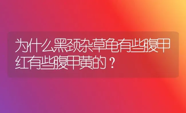 为什么黑颈杂草龟有些腹甲红有些腹甲黄的？ | 动物养殖问答