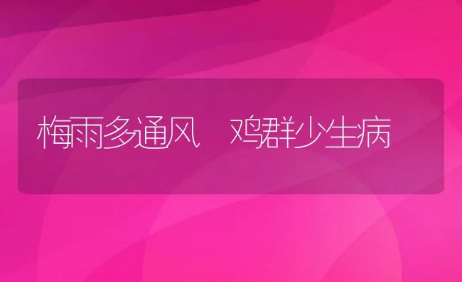 梅雨多通风 鸡群少生病 | 动物养殖学堂