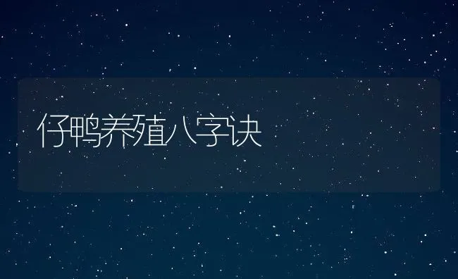 仔鸭养殖八字诀 | 动物养殖学堂
