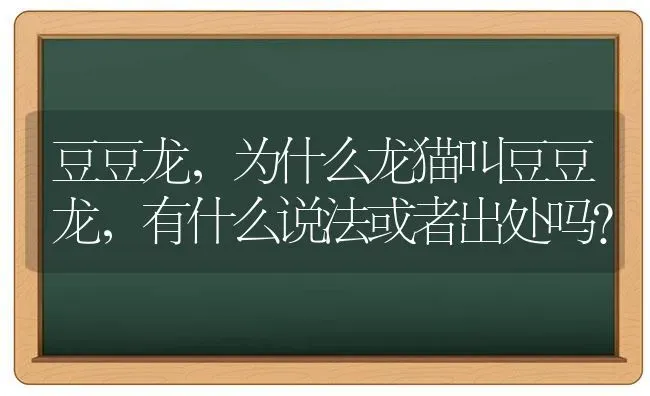 豆豆龙，为什么龙猫叫豆豆龙，有什么说法或者出处吗？ | 动物养殖问答