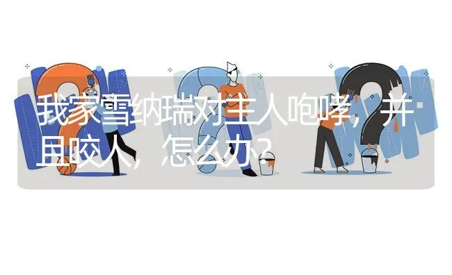 我家雪纳瑞对主人咆哮，并且咬人，怎么办？ | 动物养殖问答