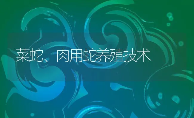 菜蛇、肉用蛇养殖技术 | 动物养殖饲料