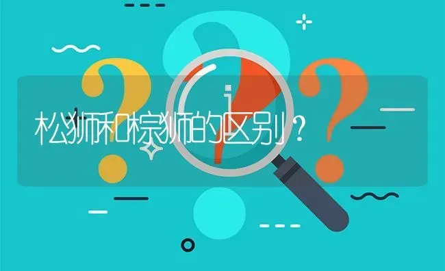 拉布拉多最大能长多大，能长多少斤？ | 动物养殖问答