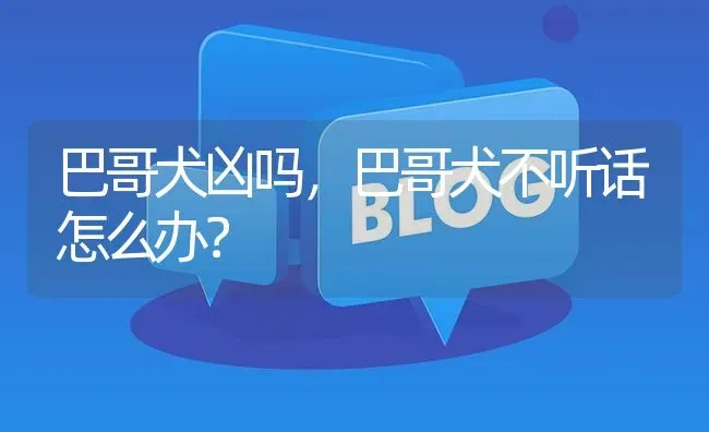 巴哥犬凶吗，巴哥犬不听话怎么办？ | 动物养殖问答