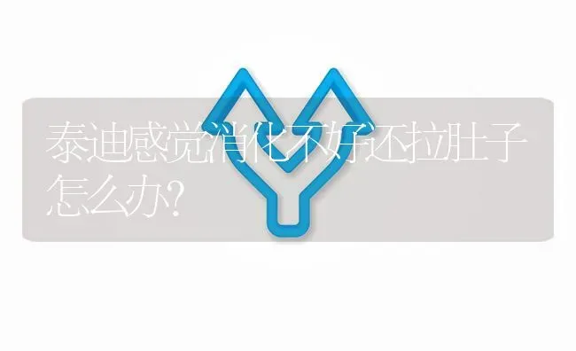 泰迪感觉消化不好还拉肚子怎么办？ | 动物养殖问答