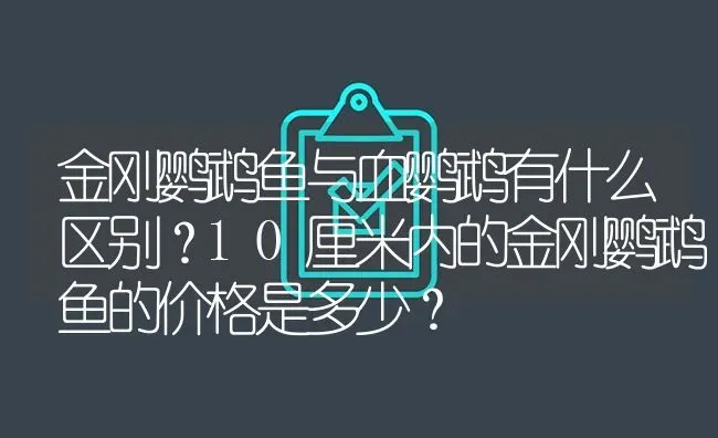 金刚鹦鹉鱼与血鹦鹉有什么区别？10厘米内的金刚鹦鹉鱼的价格是多少？ | 鱼类宠物饲养