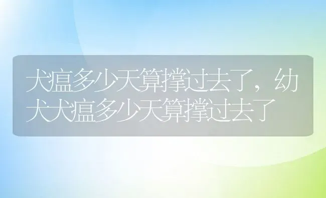 犬瘟多少天算撑过去了,幼犬犬瘟多少天算撑过去了 | 宠物百科知识