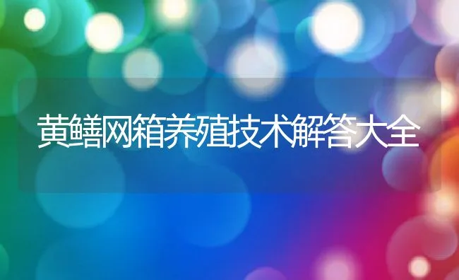 黄鳝网箱养殖技术解答大全 | 水产养殖知识