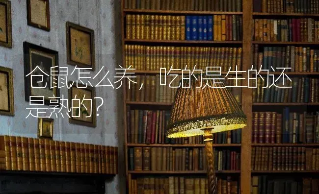 仓鼠怎么养，吃的是生的还是熟的？ | 动物养殖问答