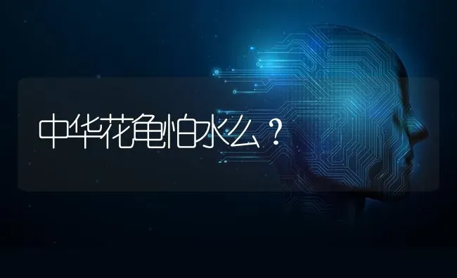 中华花龟怕水么？ | 动物养殖问答