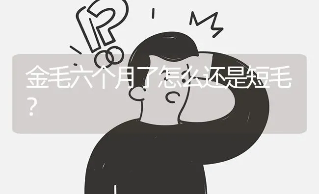 金毛六个月了怎么还是短毛？ | 动物养殖问答