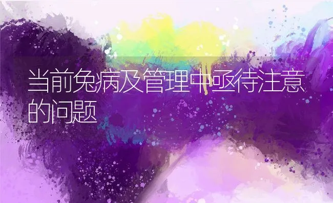 当前兔病及管理中亟待注意的问题 | 动物养殖学堂