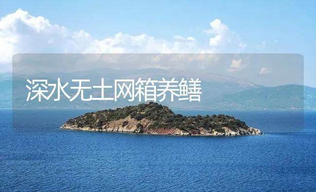 深水无土网箱养鳝 | 海水养殖技术