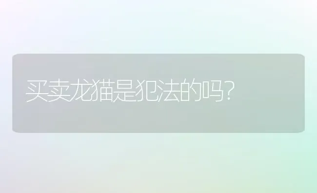 买卖龙猫是犯法的吗？ | 动物养殖问答