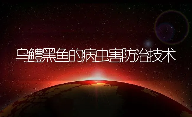 乌鳢黑鱼的病虫害防治技术 | 水产养殖知识
