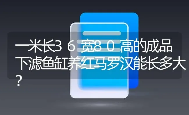 一米长36宽80高的成品下滤鱼缸养红马罗汉能长多大？ | 鱼类宠物饲养