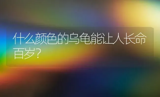 什么颜色的乌龟能让人长命百岁？ | 动物养殖问答