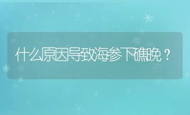 什么原因导致海参下礁晚？ | 动物养殖教程