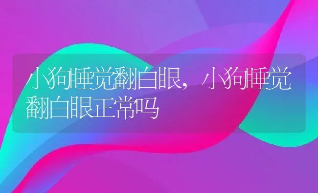 小狗睡觉翻白眼,小狗睡觉翻白眼正常吗 | 宠物百科知识