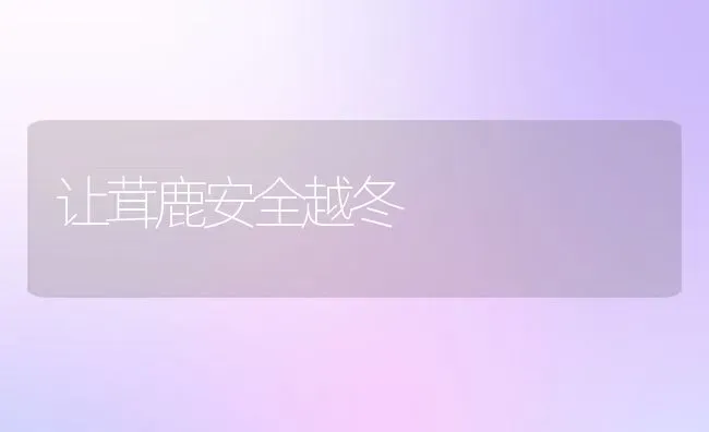 让茸鹿安全越冬 | 动物养殖百科