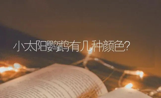 小太阳鹦鹉有几种颜色？ | 动物养殖问答