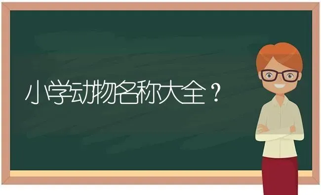 小学动物名称大全？ | 动物养殖问答