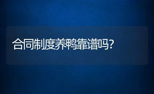 合同制度养鸭靠谱吗？ | 动物养殖百科