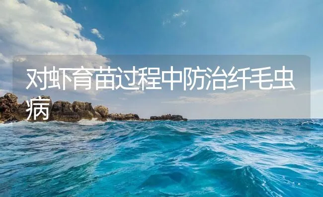 对虾育苗过程中防治纤毛虫病 | 海水养殖技术