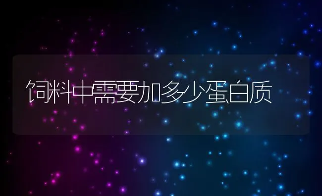 饲料中需要加多少蛋白质 | 动物养殖饲料