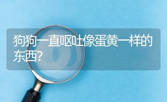 狗狗一直呕吐像蛋黄一样的东西？ | 动物养殖问答