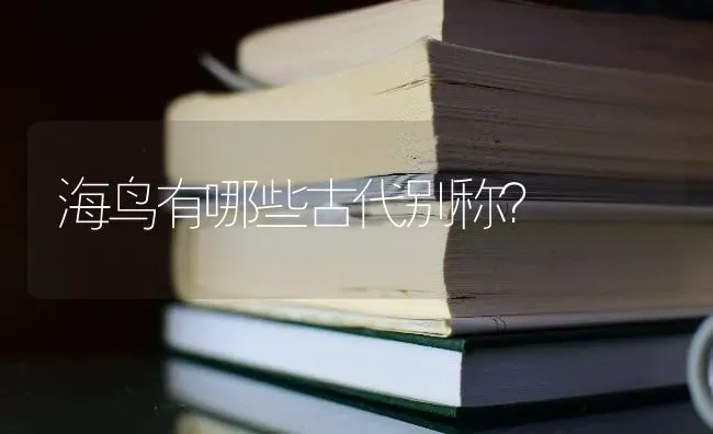 海鸟有哪些古代别称？ | 动物养殖问答