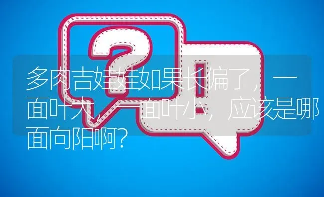 多肉吉娃娃如果长偏了，一面叶大，一面叶小，应该是哪面向阳啊？ | 动物养殖问答