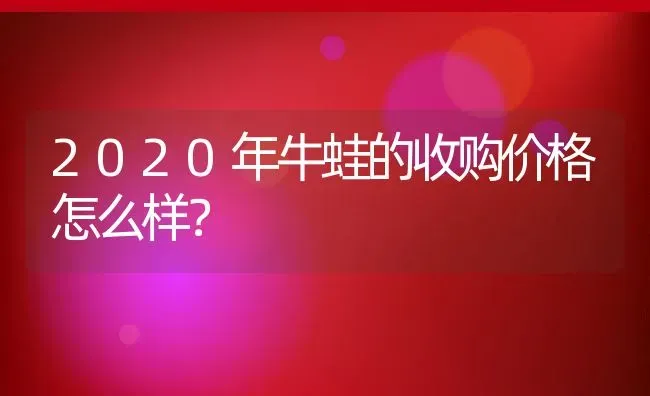 2020年牛蛙的收购价格怎么样？ | 动物养殖百科