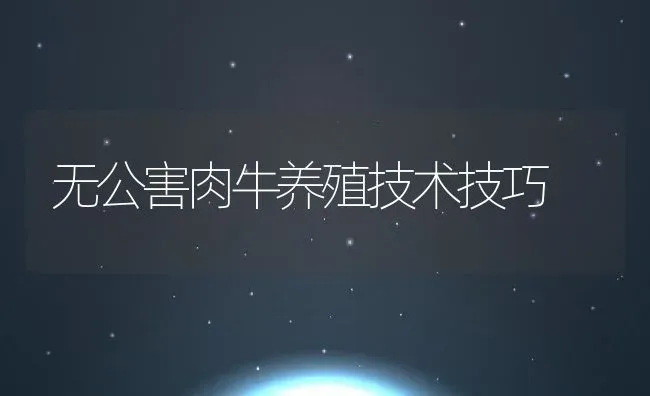 无公害肉牛养殖技术技巧 | 动物养殖教程