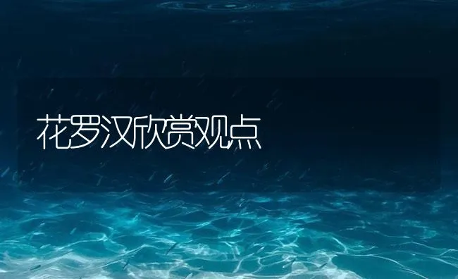 花罗汉欣赏观点 | 海水养殖技术