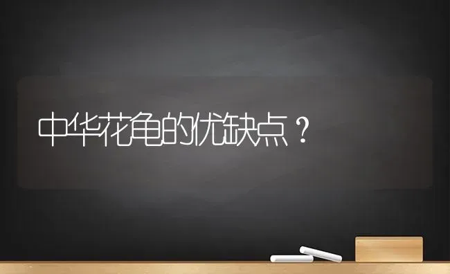 中华花龟的优缺点？ | 动物养殖问答