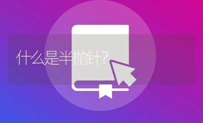 什么是半抛针？ | 鱼类宠物饲养