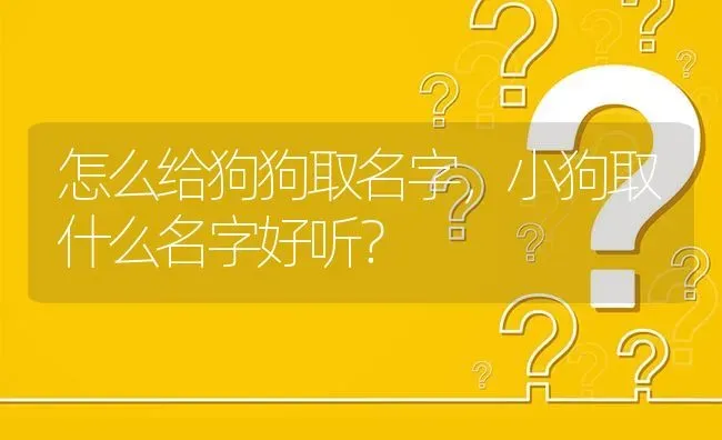 怎么给狗狗取名字，小狗取什么名字好听？ | 动物养殖问答