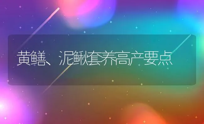 黄鳝、泥鳅套养高产要点 | 水产养殖知识