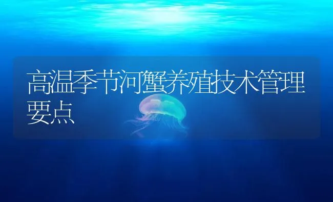 高温季节河蟹养殖技术管理要点 | 海水养殖技术