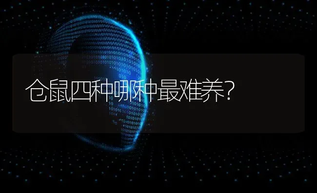 3岁的拉布拉多值多少银子？ | 动物养殖问答