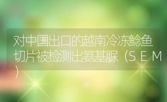 对中国出口的越南冷冻鲶鱼切片被检测出氨基脲（SEM） | 淡水养殖技术