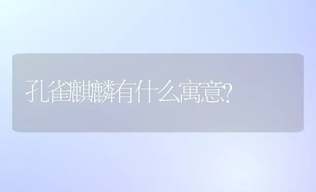 孔雀麒麟有什么寓意？ | 动物养殖问答