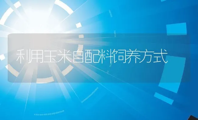 利用玉米自配料饲养方式 | 动物养殖饲料