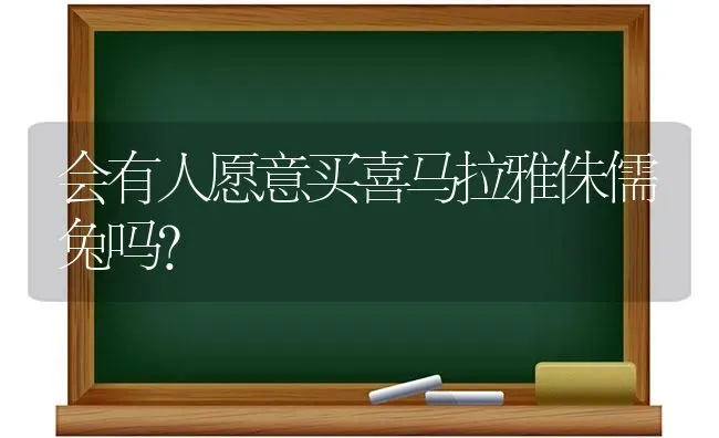 4个月大拉布拉多一天拉4，5次大便正常吗？ | 动物养殖问答