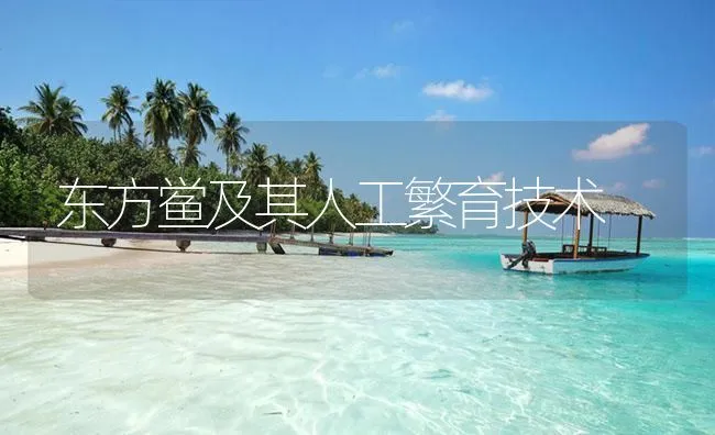 梭子蟹养殖之夏季管理 | 海水养殖技术