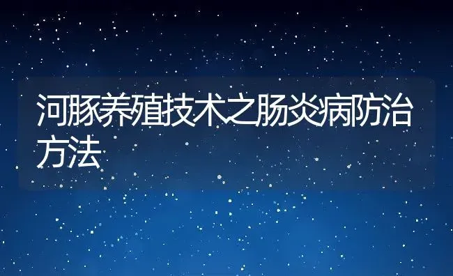 河豚养殖技术之肠炎病防治方法 | 动物养殖教程